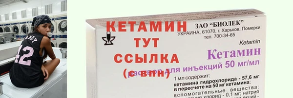 сатива Корсаков