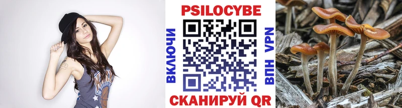 Псилоцибиновые грибы Cubensis  Вельск 